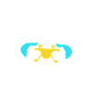 Skull skull skull skeleton gift