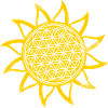 Sun - flower of life