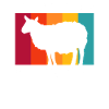 Schaf Schafe Landwirtschaft Geschenk