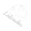 Labrador