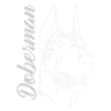 Doberman Doberman