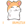 I love hamster pet