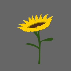 Sarcoma consapevolezza