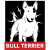 Bullterrier