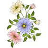 fleurs