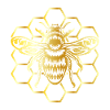 Beekeeper Honeycomb Bees Honey