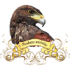 harris hawk