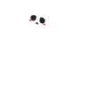 skeleton