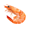 Shrimp - shrimp