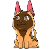 Malinois