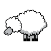 sheep