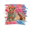cheetah