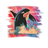 Orca