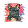 French bulldog