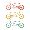Tandem bike tour