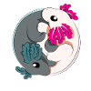 Axolotl YinYang Amphibian Aquarium
