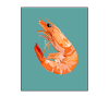 shrimp