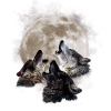 Howling wolves - wolf full moon
