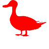 Katze