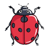 LadyBug