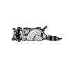 Raccoon