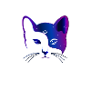 Katze