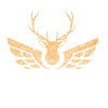 Le cerf volant