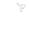 Judo