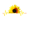 Sunflower, sunflower, heartbeat, rhythm