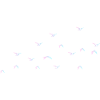 Bird flight south gift idea