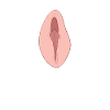 Vagin chatte chatte sexe anniversaire