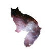 Cat galaxy 2