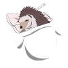 Sleeping and slumbering hedgehog