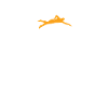 Swimmer