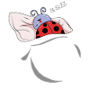 Sleeping and slumbering ladybug
