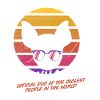 Coolest dog Chihuahua