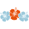 hibiscus 02