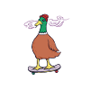 Cool duck on a skateboard
