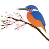 The kingfisher