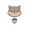 squirrel