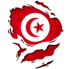 Tunisia flag