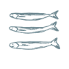 Sprats 4,Fish,Fishing,Design,Gift,Cool,Chic