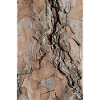 Tree bark