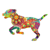Hund Psychedelic