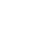 lizard