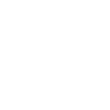 Helicopter pilot co-pilot aviation