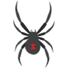 Black widow