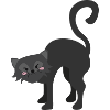 Black cat
