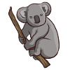 Koala bear
