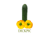 Vegan Dickpic lustig